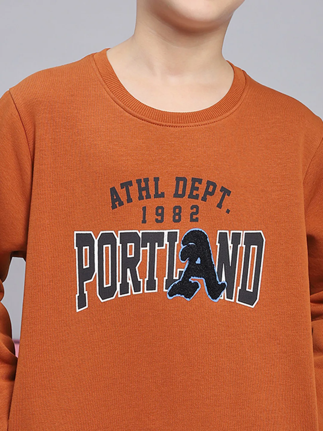 Boys Brown Printed Round Neck Full Sleeve Sweatshirt - Image 6