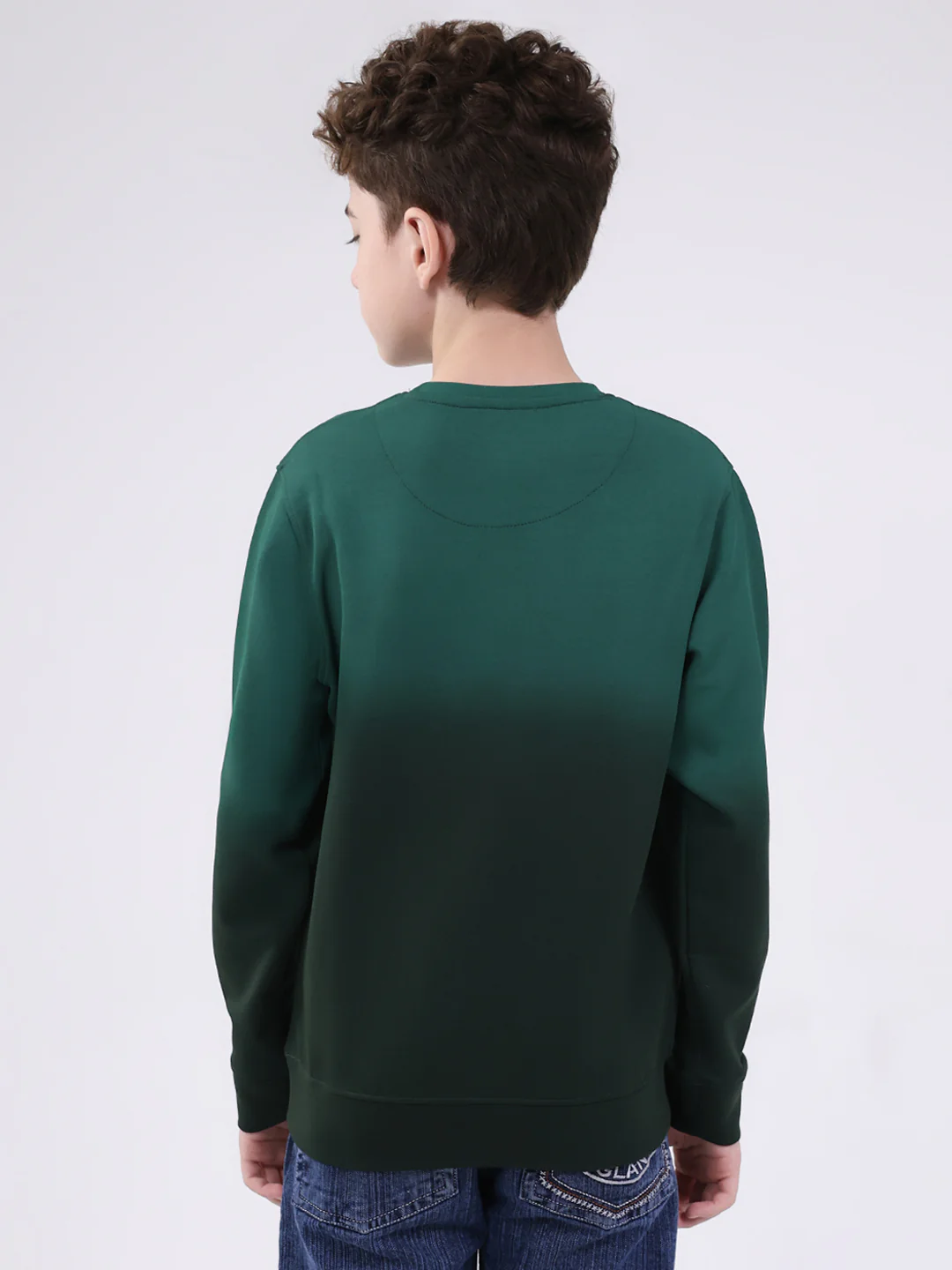Boys Green Printed Round Neck Full Sleeve Sweatshirt - Image 5