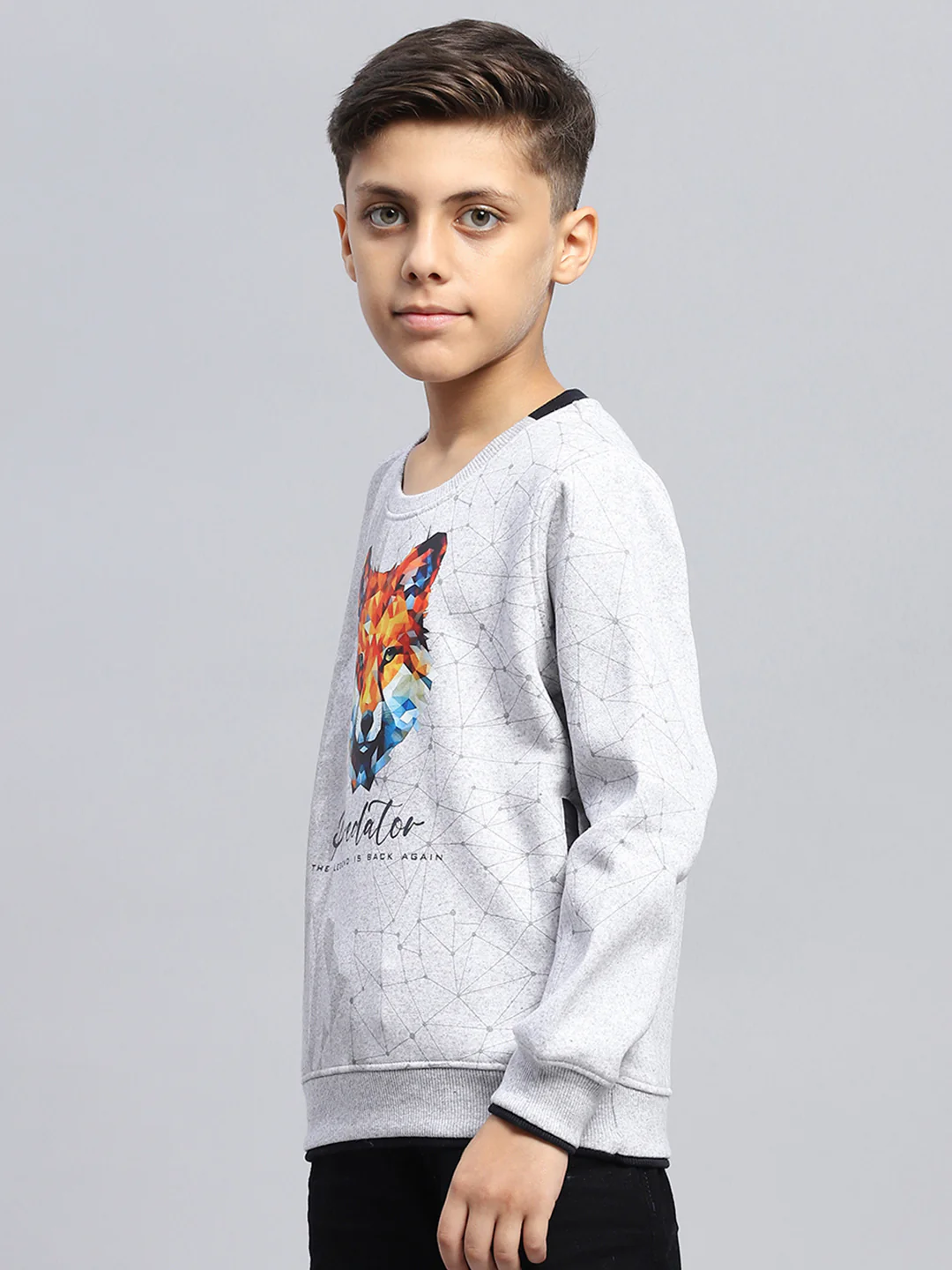Boys Grey Printed Round Neck Full Sleeve Sweatshirt - Image 3