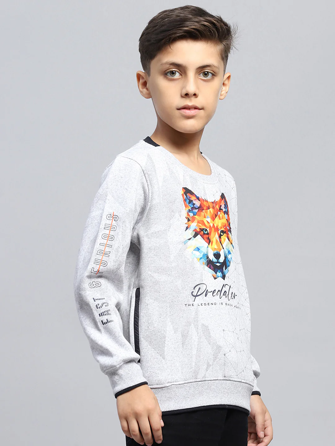 Boys Grey Printed Round Neck Full Sleeve Sweatshirt - Image 4
