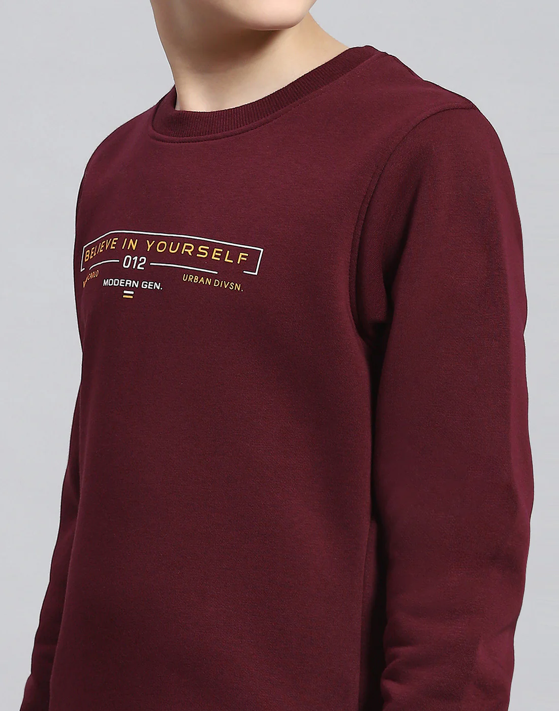 Boys Maroon Printed Round Neck Full Sleeve Sweatshirt - Image 7