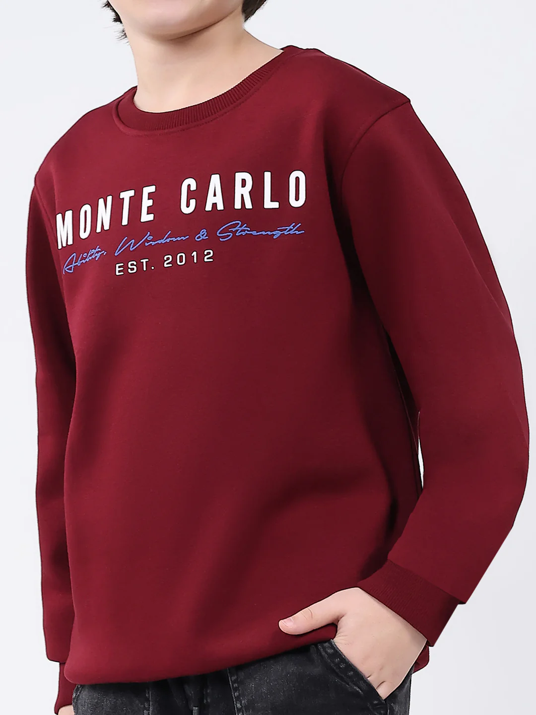 Boys Maroon Printed Round Neck Full Sleeve Sweatshirt - Image 6