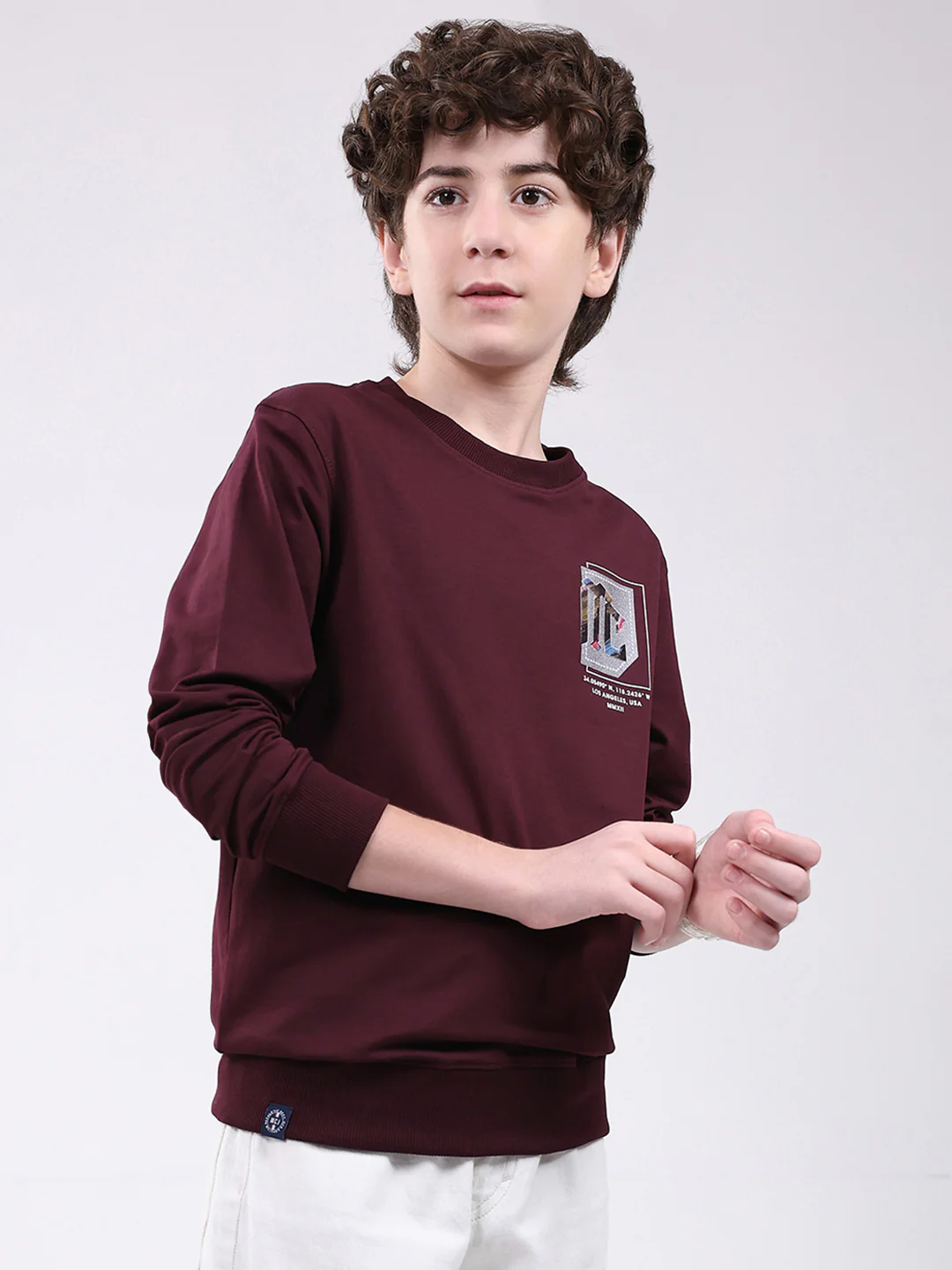 Boys Maroon Printed Round Neck Full Sleeve Winter T-Shirt - Image 4