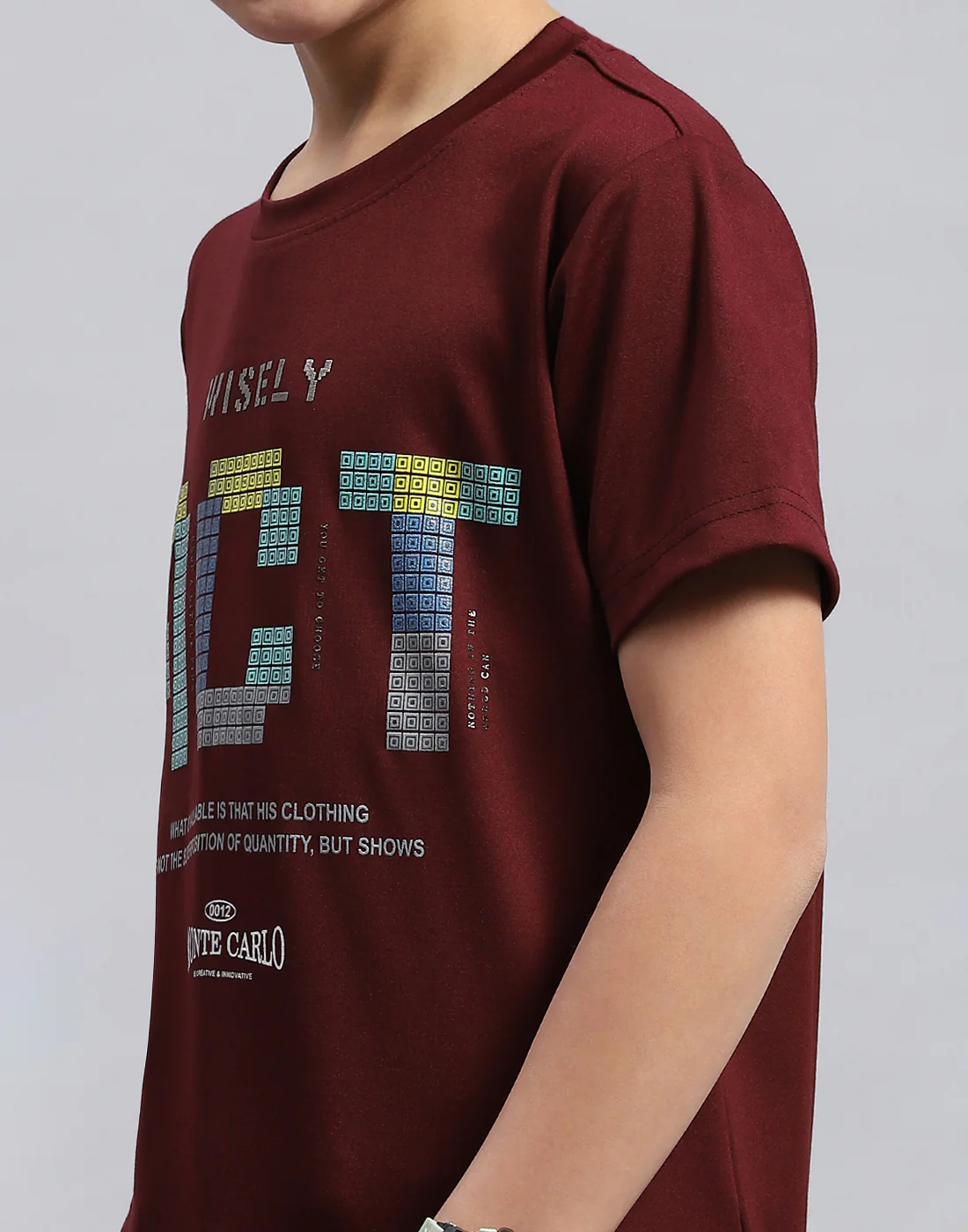 Boys Maroon Printed Round Neck Half Sleeve T-Shirt - Image 6
