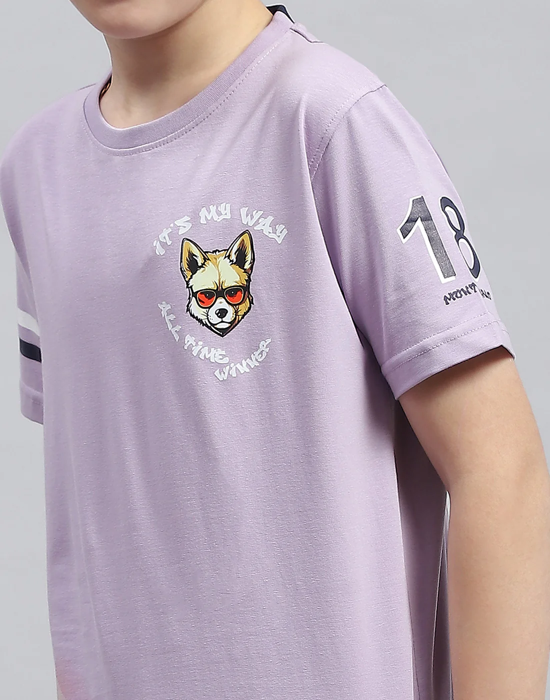 Boys Purple Printed Round Neck Half Sleeve T-Shirt - Image 6