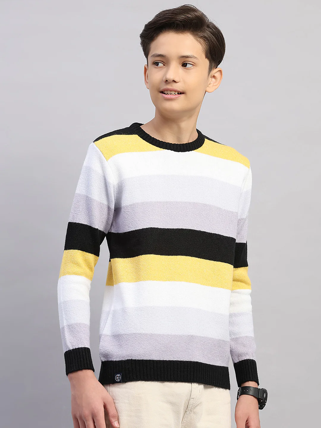 Boys Purple Stripe Round Neck Full Sleeve Pullover - Image 4