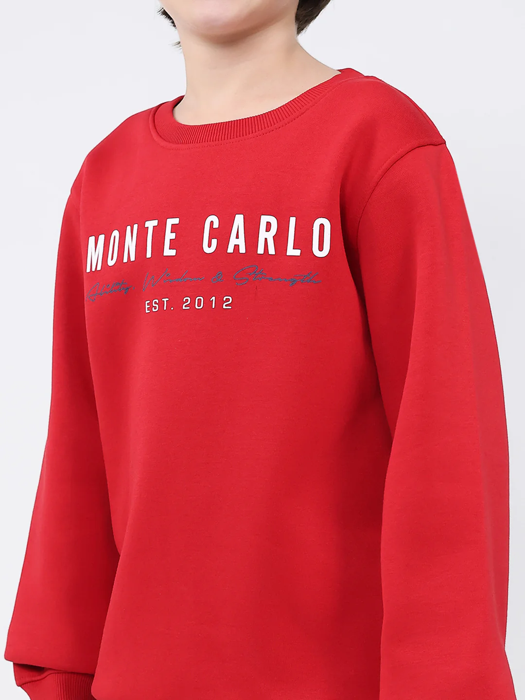 Boys Red Printed Round Neck Full Sleeve Sweatshirt - Image 6