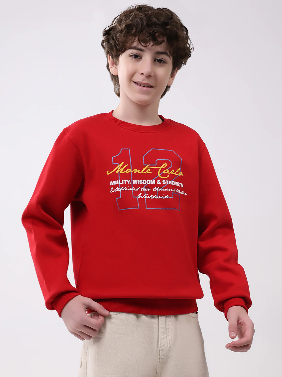 Boys Red Printed Round Neck Full Sleeve Sweatshirt - Image 4
