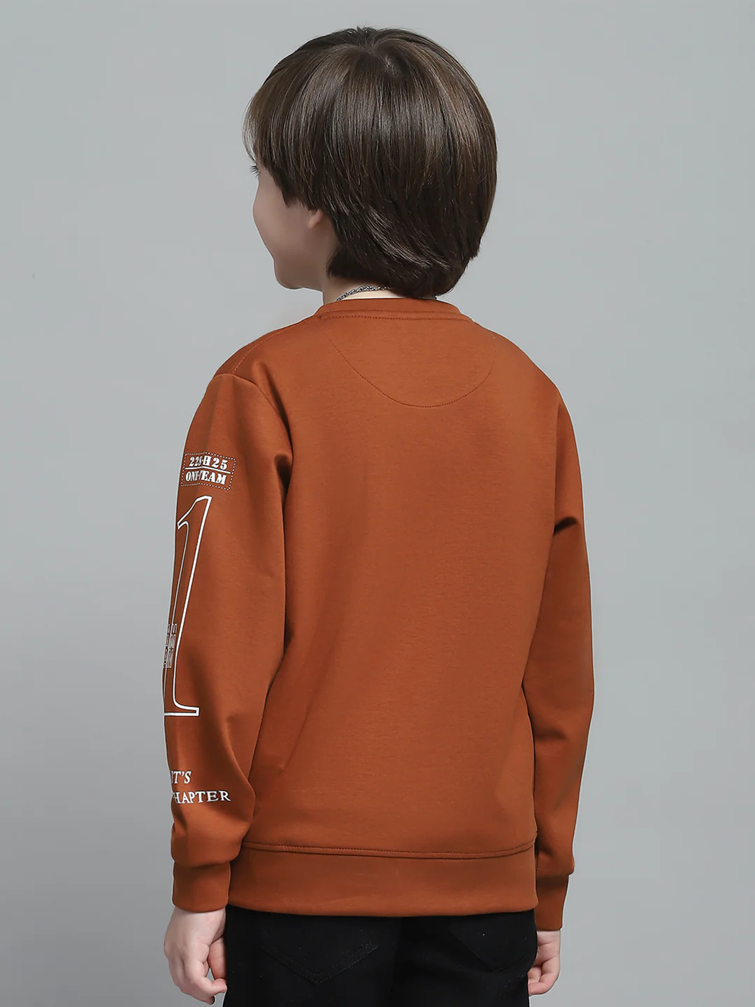Boys Rust Printed Round Neck Full Sleeve Sweatshirt - Image 5