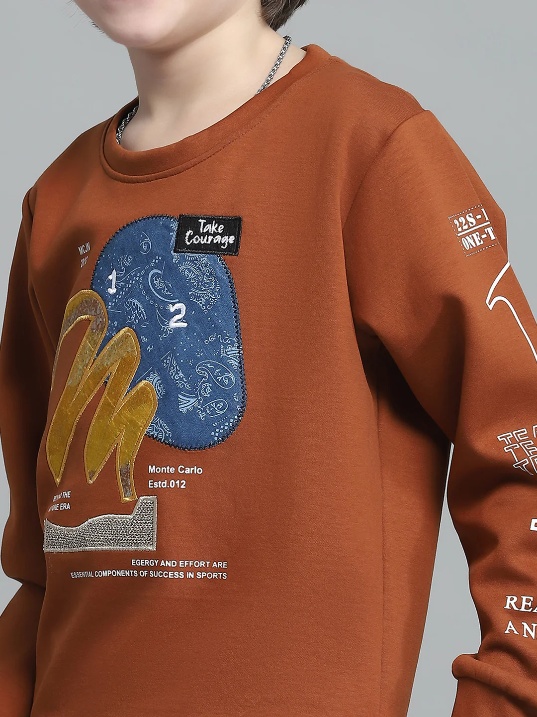 Boys Rust Printed Round Neck Full Sleeve Sweatshirt - Image 6