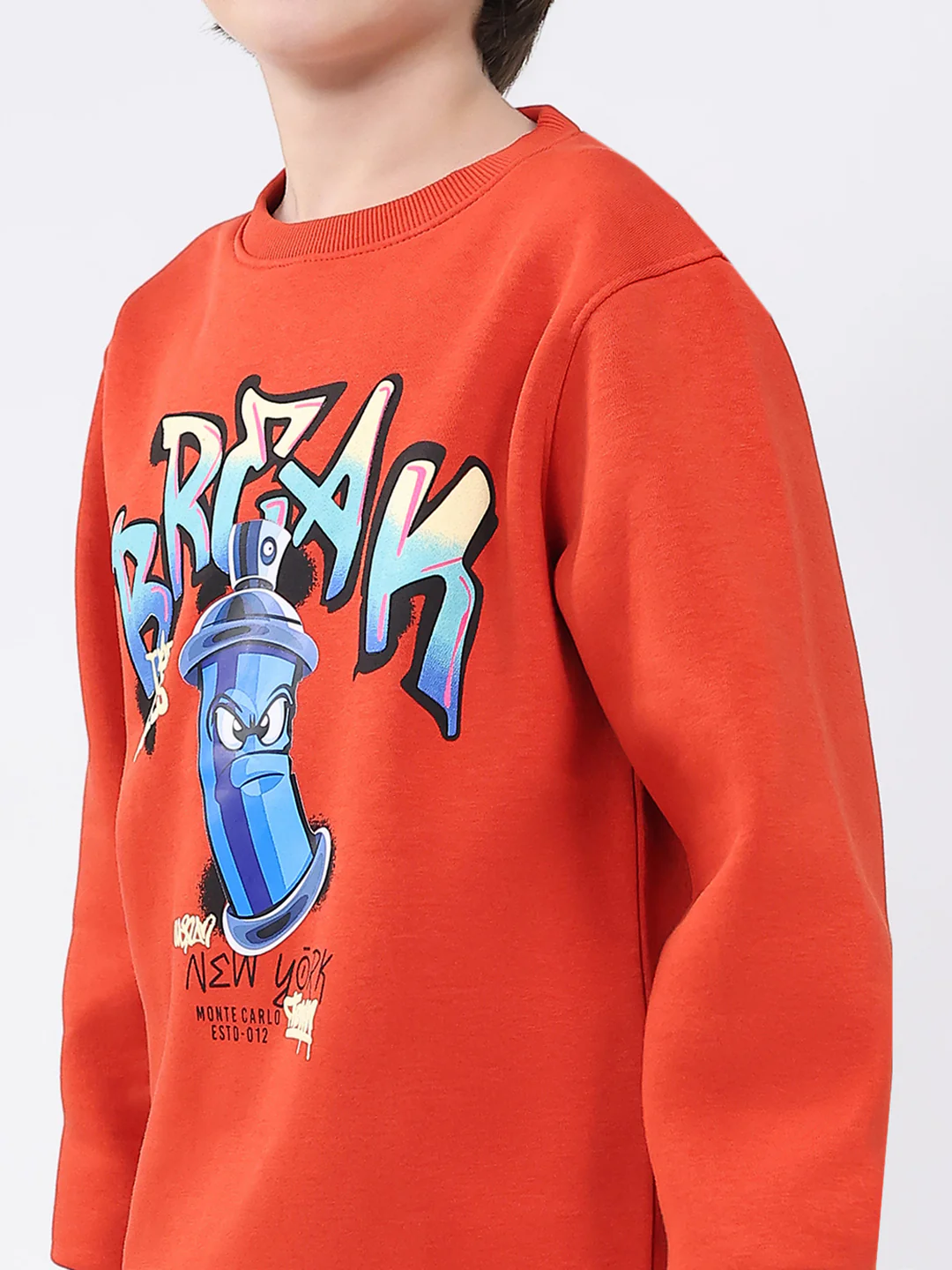 Boys Rust Printed Round Neck Full Sleeve Sweatshirt - Image 6