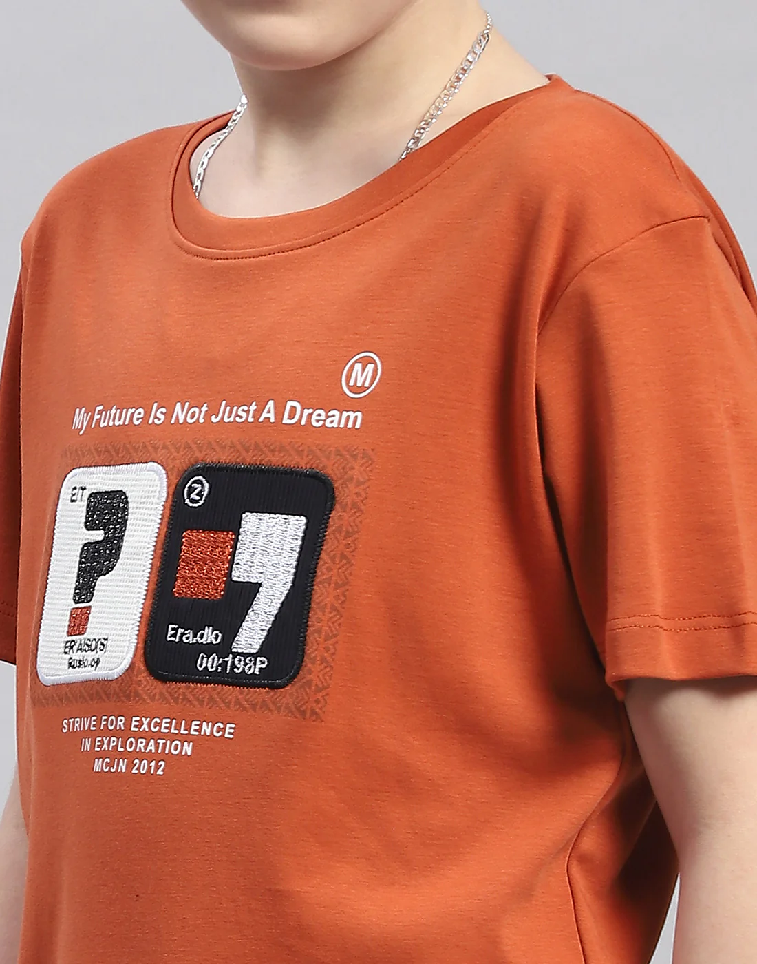Boys Rust Printed Round Neck Half Sleeve T-Shirt - Image 7