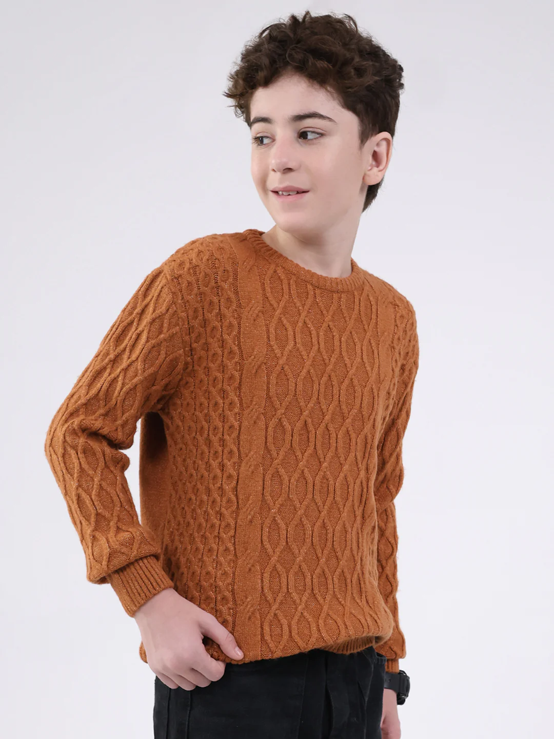 Boys Rust Self Design Round Neck Full Sleeve Pullover - Image 4