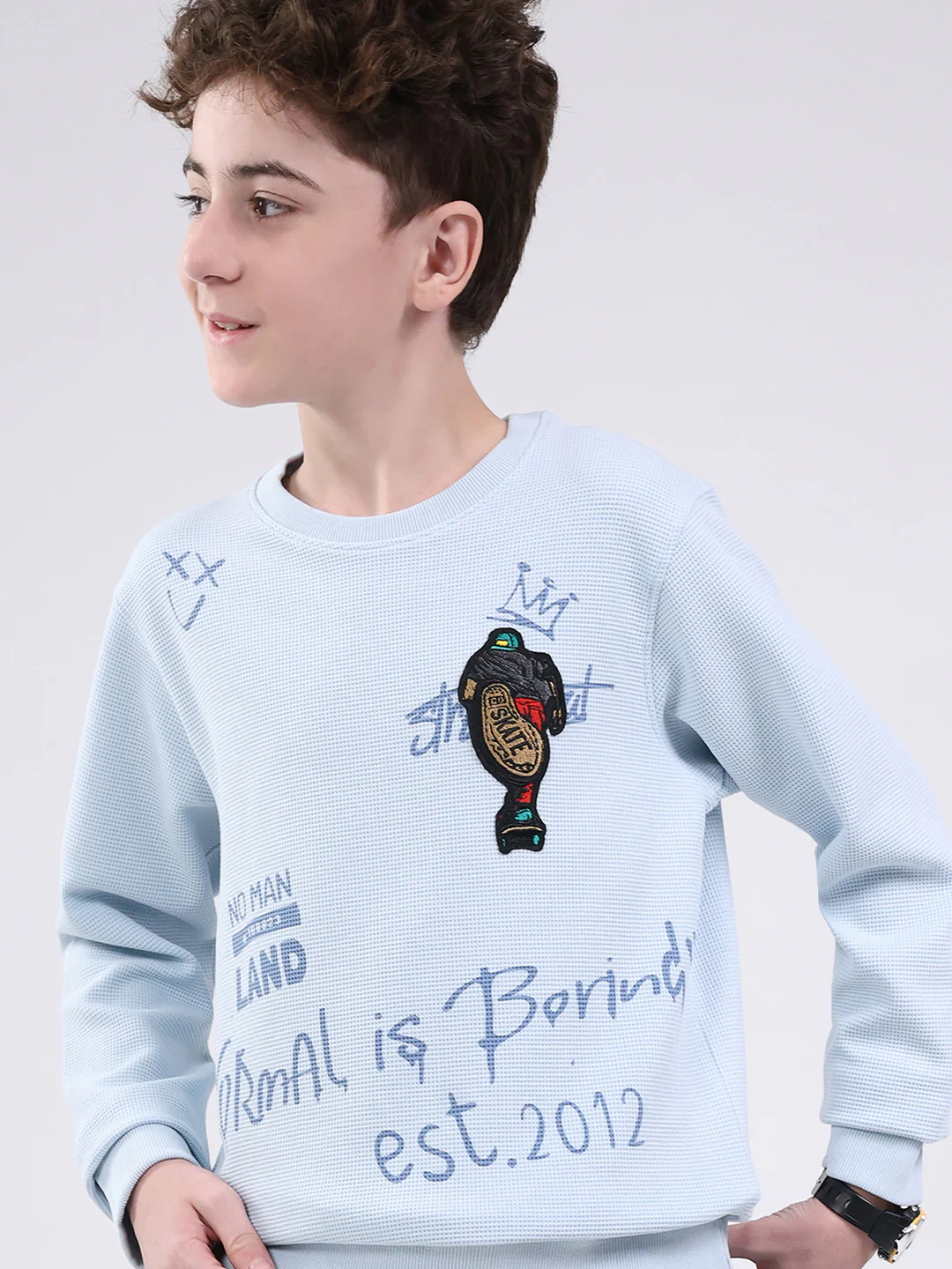 Boys Sky Blue Printed Round Neck Full Sleeve Sweatshirt - Image 6