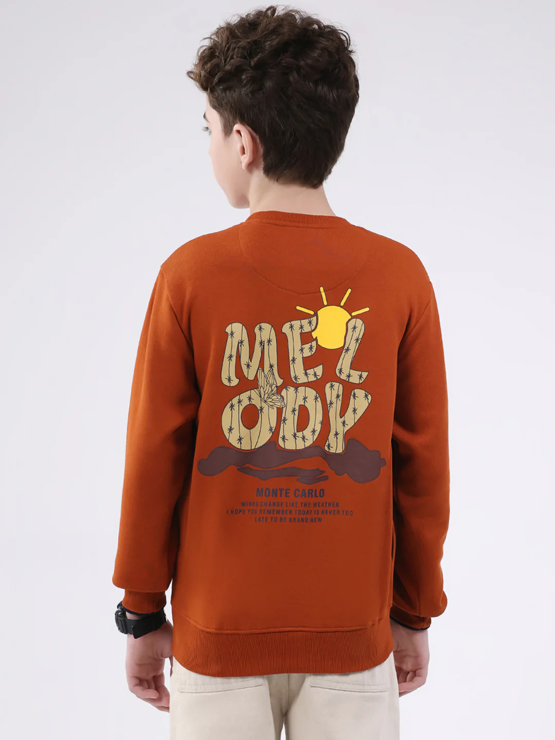 Boys Tan Printed Round Neck Full Sleeve Sweatshirt - Image 5
