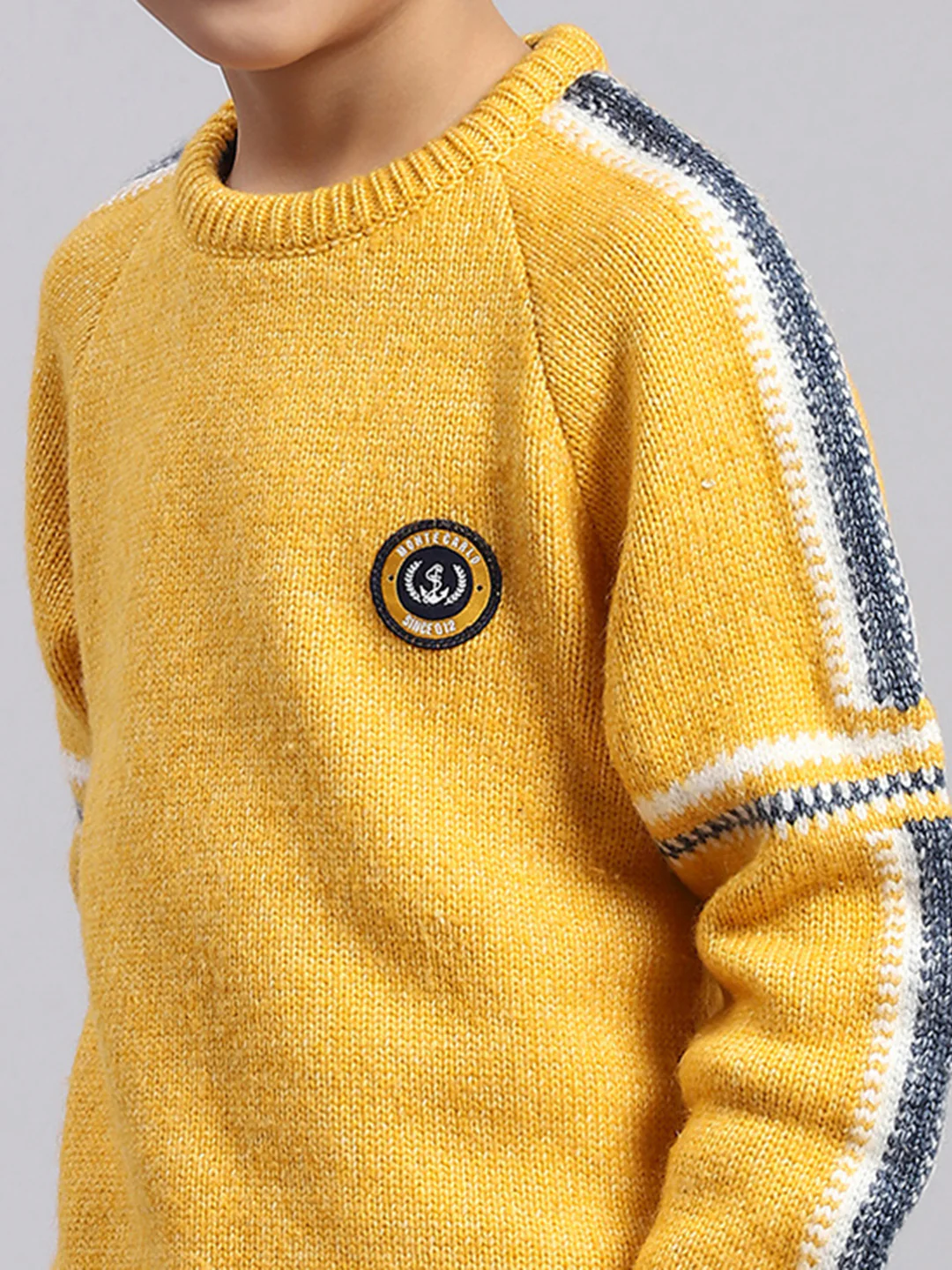 Boys Yellow Self Design Round Neck Full Sleeve Sweater - Image 6