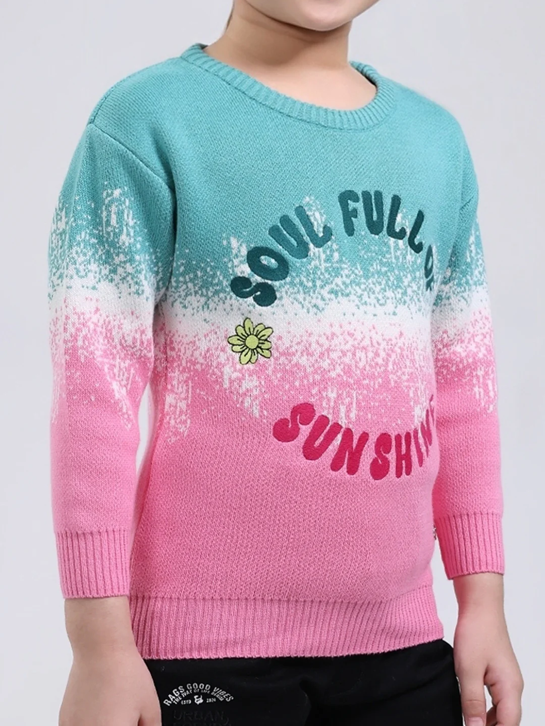 Girls Green Embroidered Round Neck Full Sleeve Pullover - Image 6