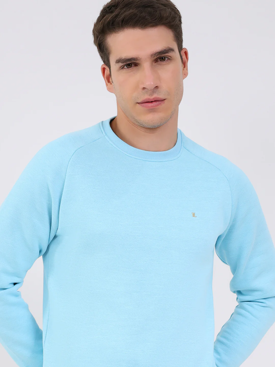 Luxuria Men Sky Blue Solid Round Neck Full Sleeve Sweatshirt - Image 6