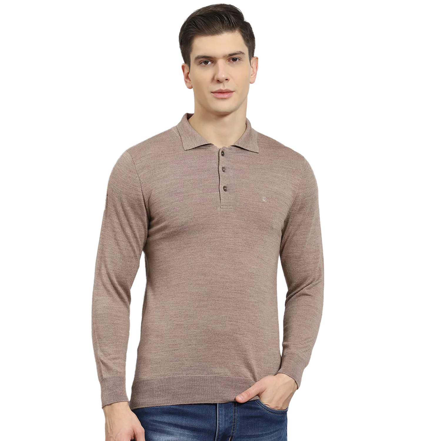 Men Brown Solid Polo Collar Full Sleeve T-Shirt - Image 5