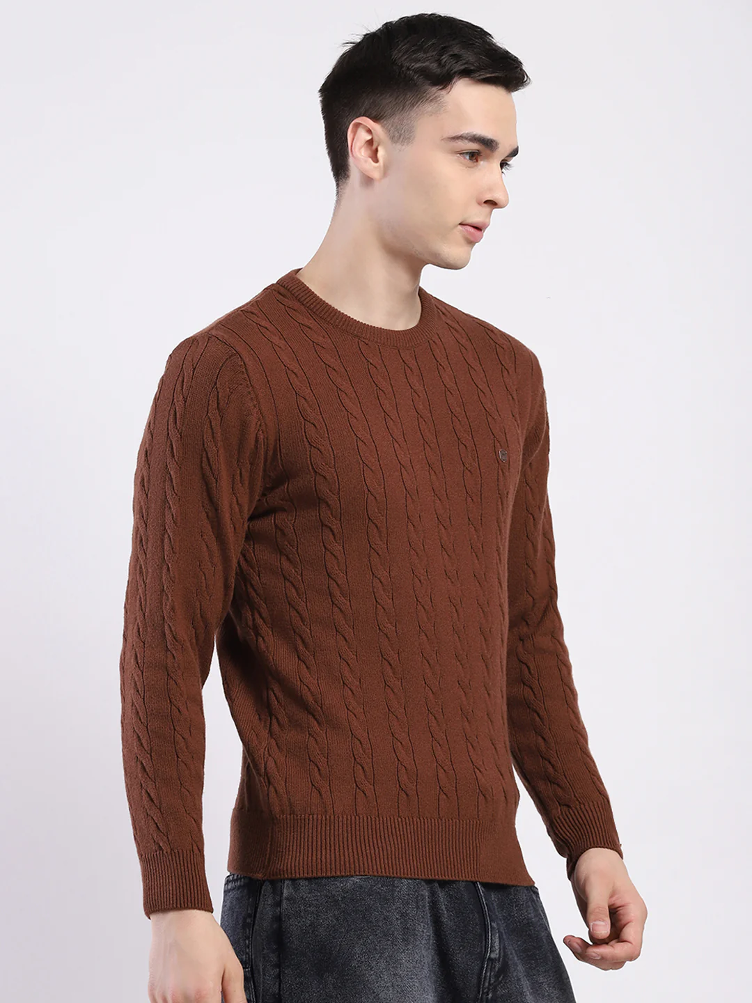 Men Brown Solid Round Neck Full Sleeve Pullover - Image 4