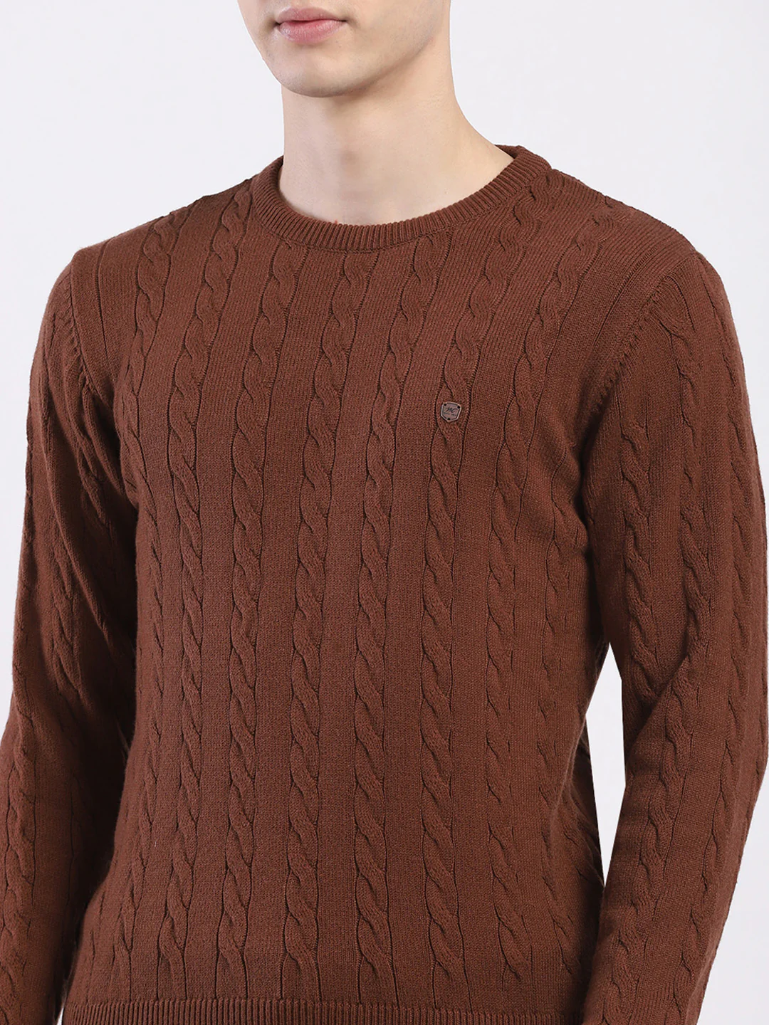 Men Brown Solid Round Neck Full Sleeve Pullover - Image 6