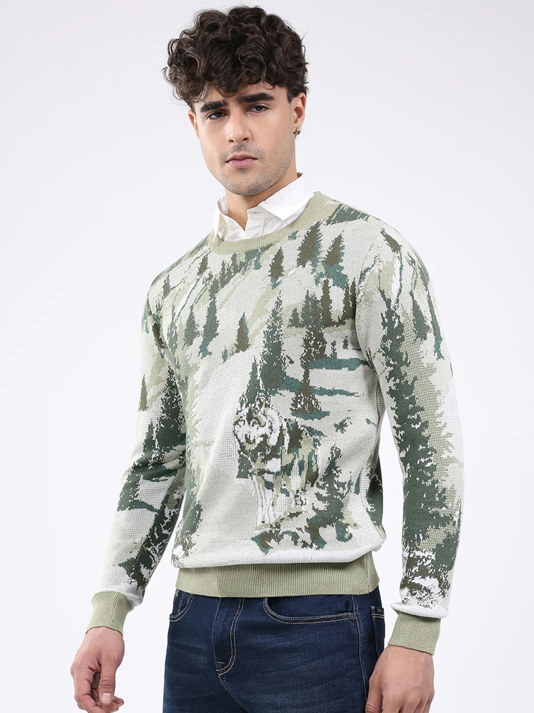 Men Green Self Design Round Neck Full Sleeve Pullover - Image 3