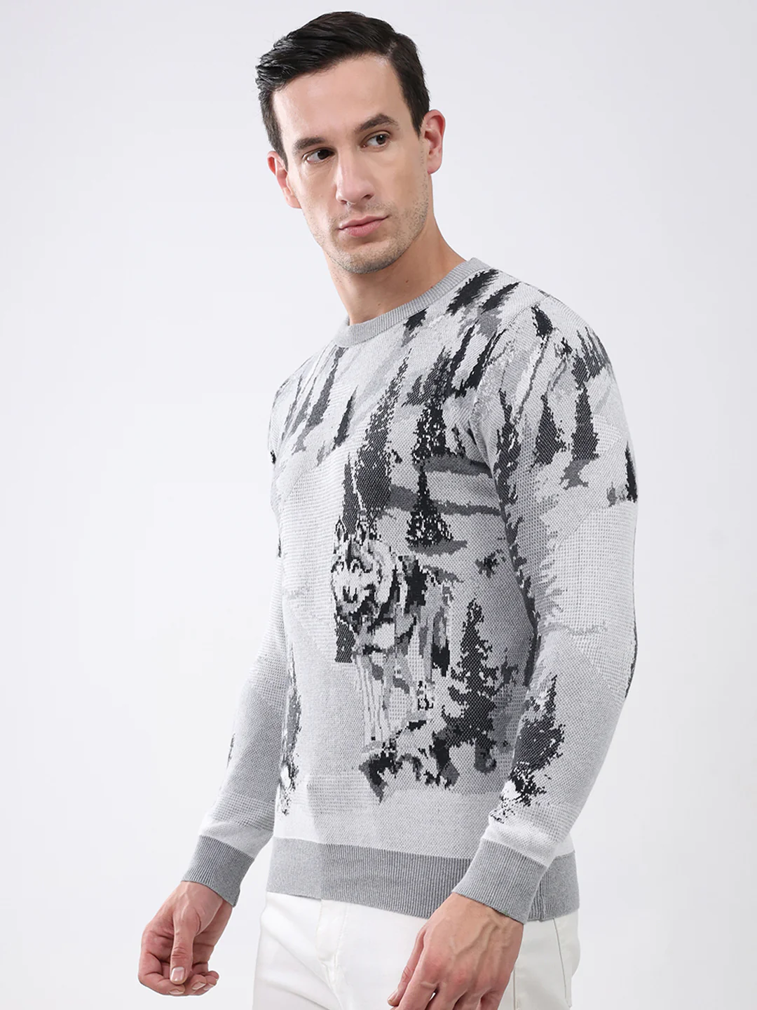 Men Grey Printed Round Neck Full Sleeve Pullover - Image 3