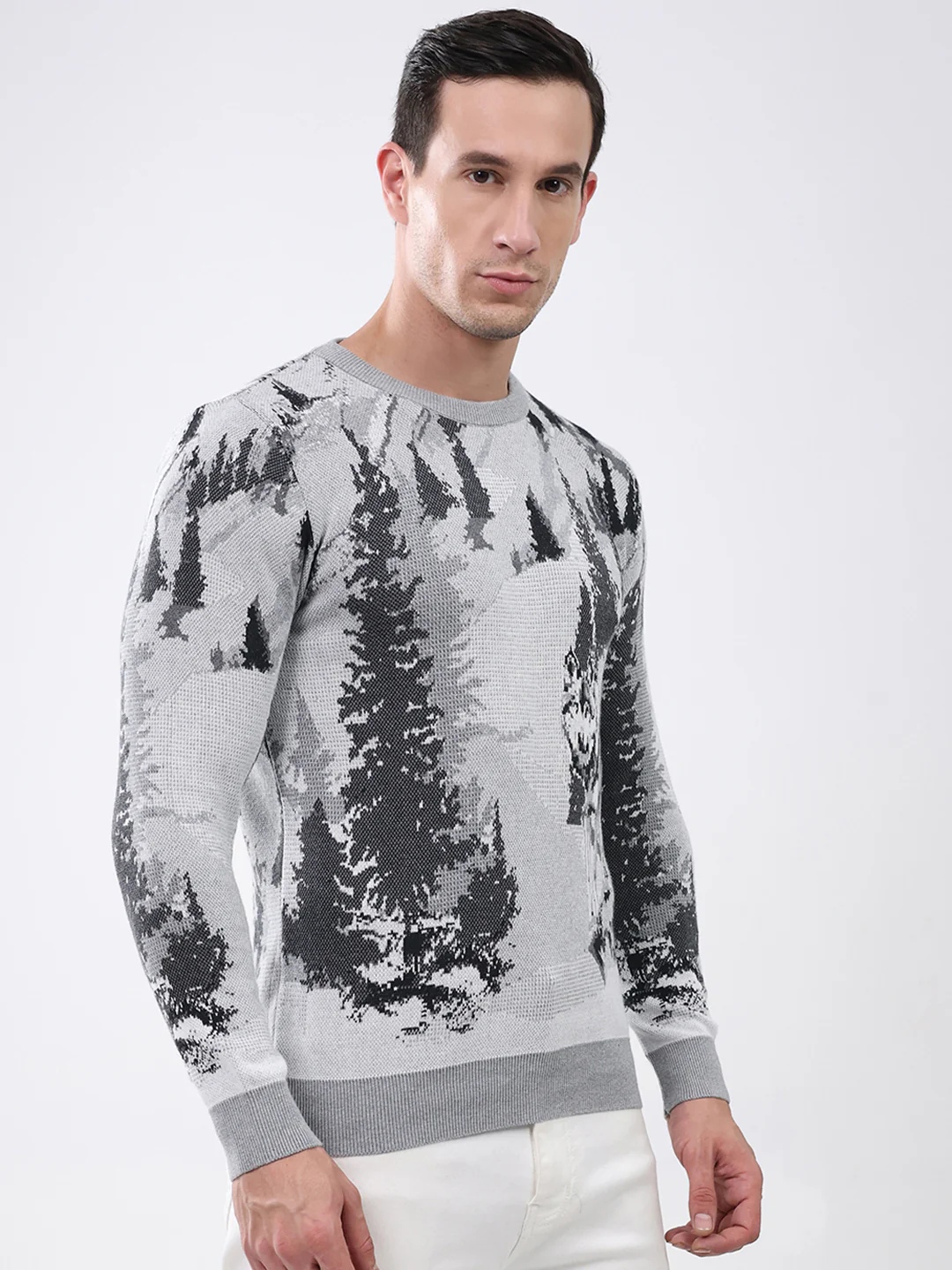 Men Grey Printed Round Neck Full Sleeve Pullover - Image 4