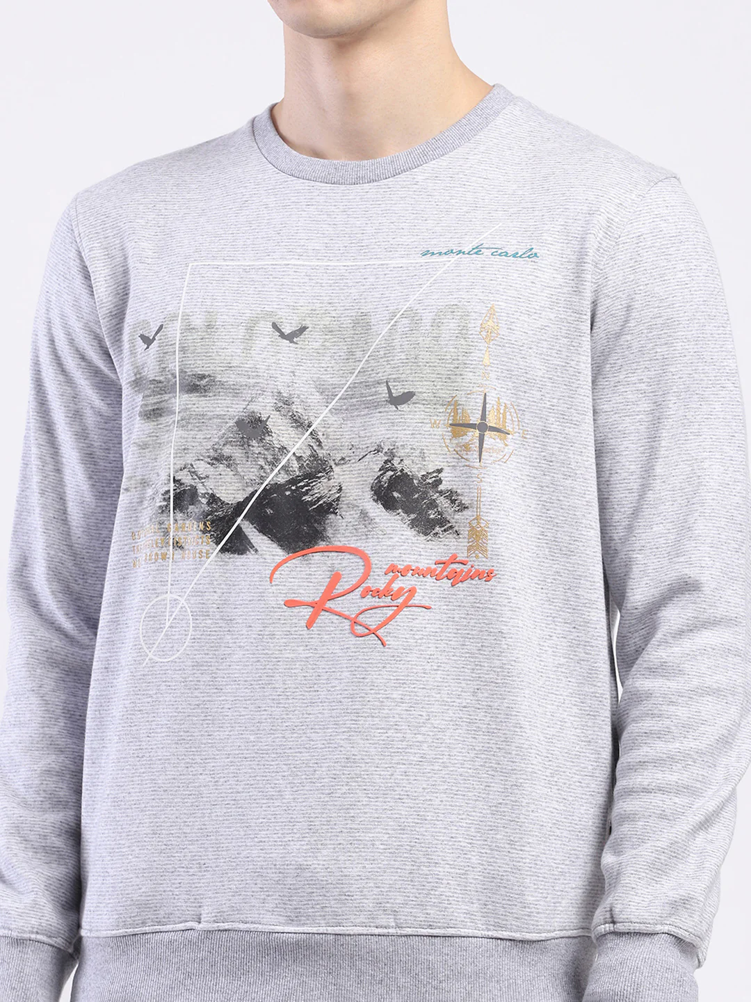 Men Grey Printed Round Neck Full Sleeve Sweatshirt - Image 7