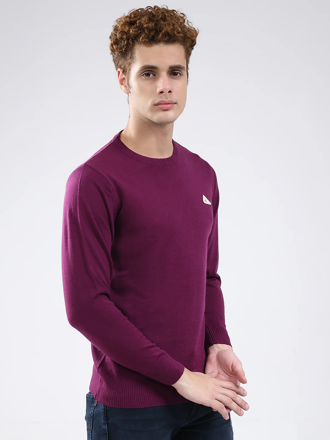 Men Purple Solid Round Neck Full Sleeve Pullover - Image 4