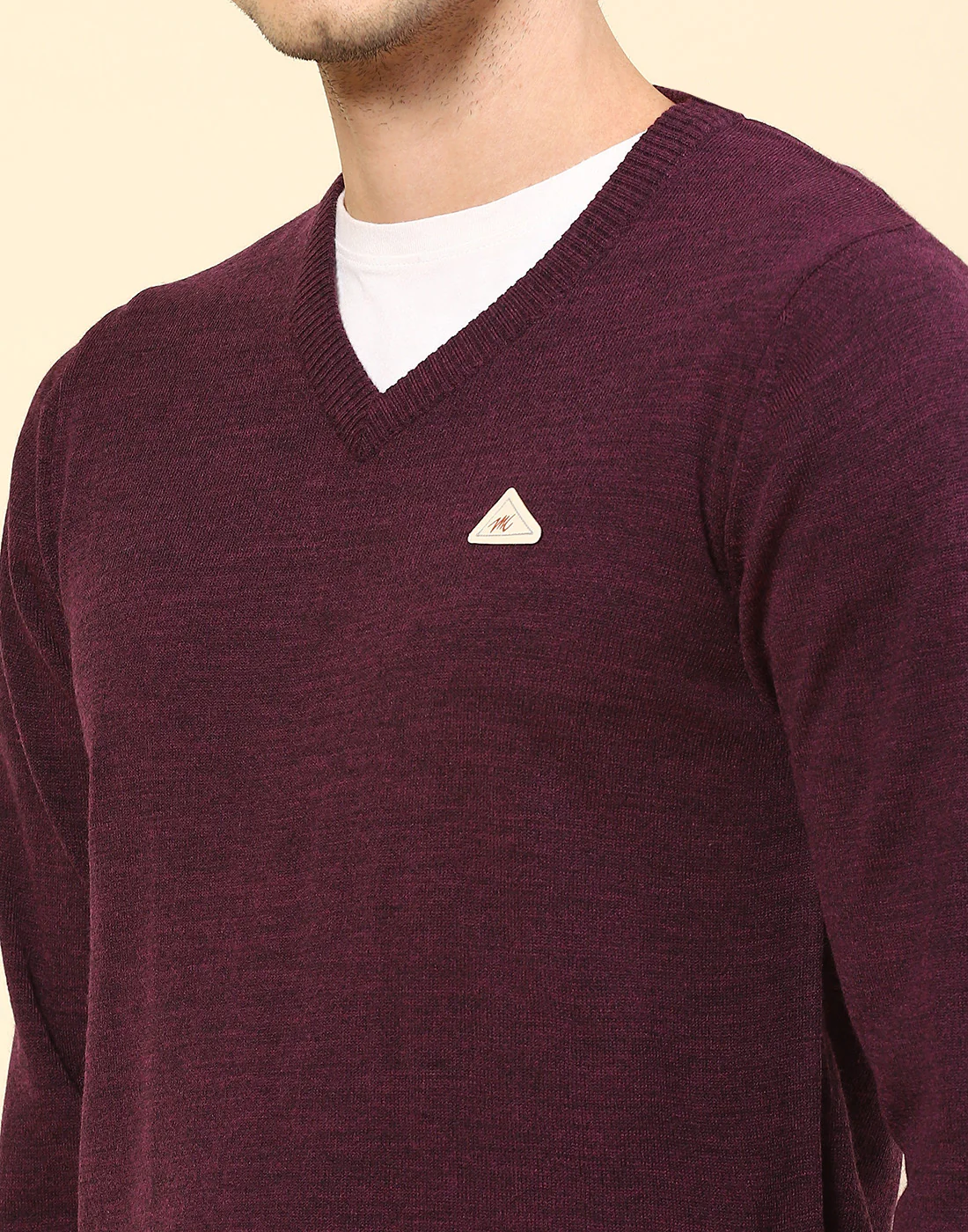 Men Purple Solid V Neck Full Sleeve Pullover - Image 6