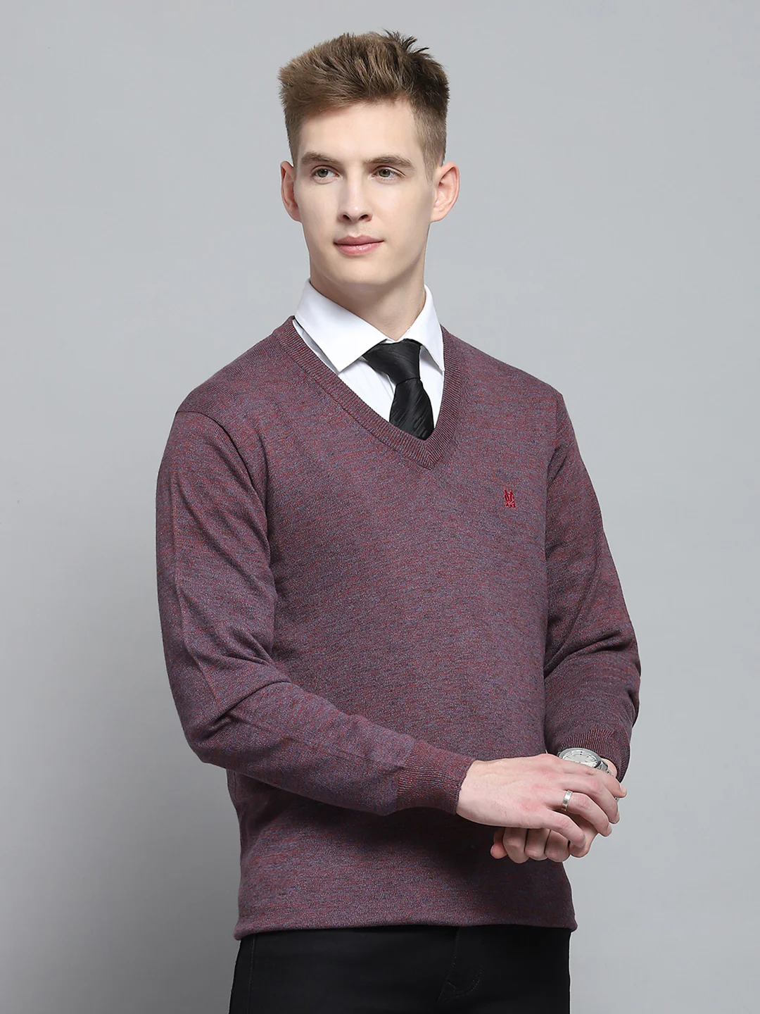 Men Purple Solid V Neck Full Sleeve Pullover - Image 4