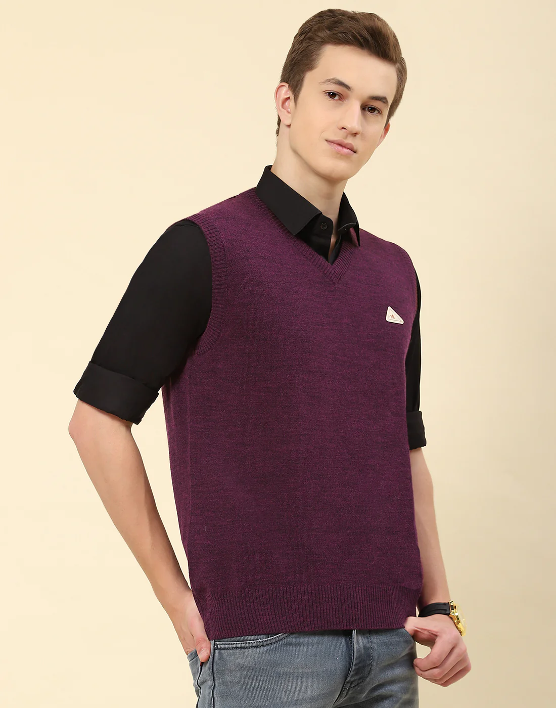 Men Purple Solid V Neck Sleeveless Sweater - Image 4
