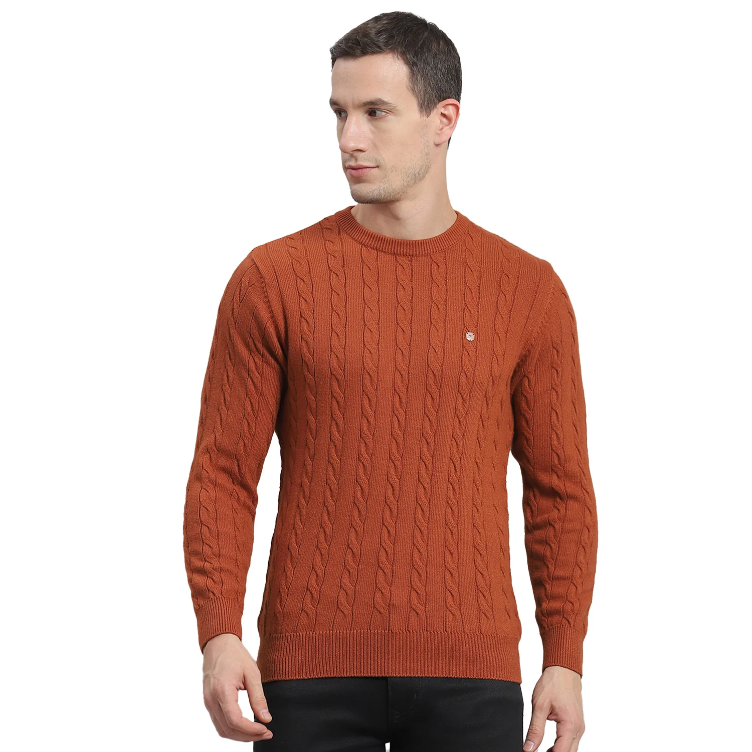 Men Rust Self Design Round Neck Full Sleeve Sweater - Image 5