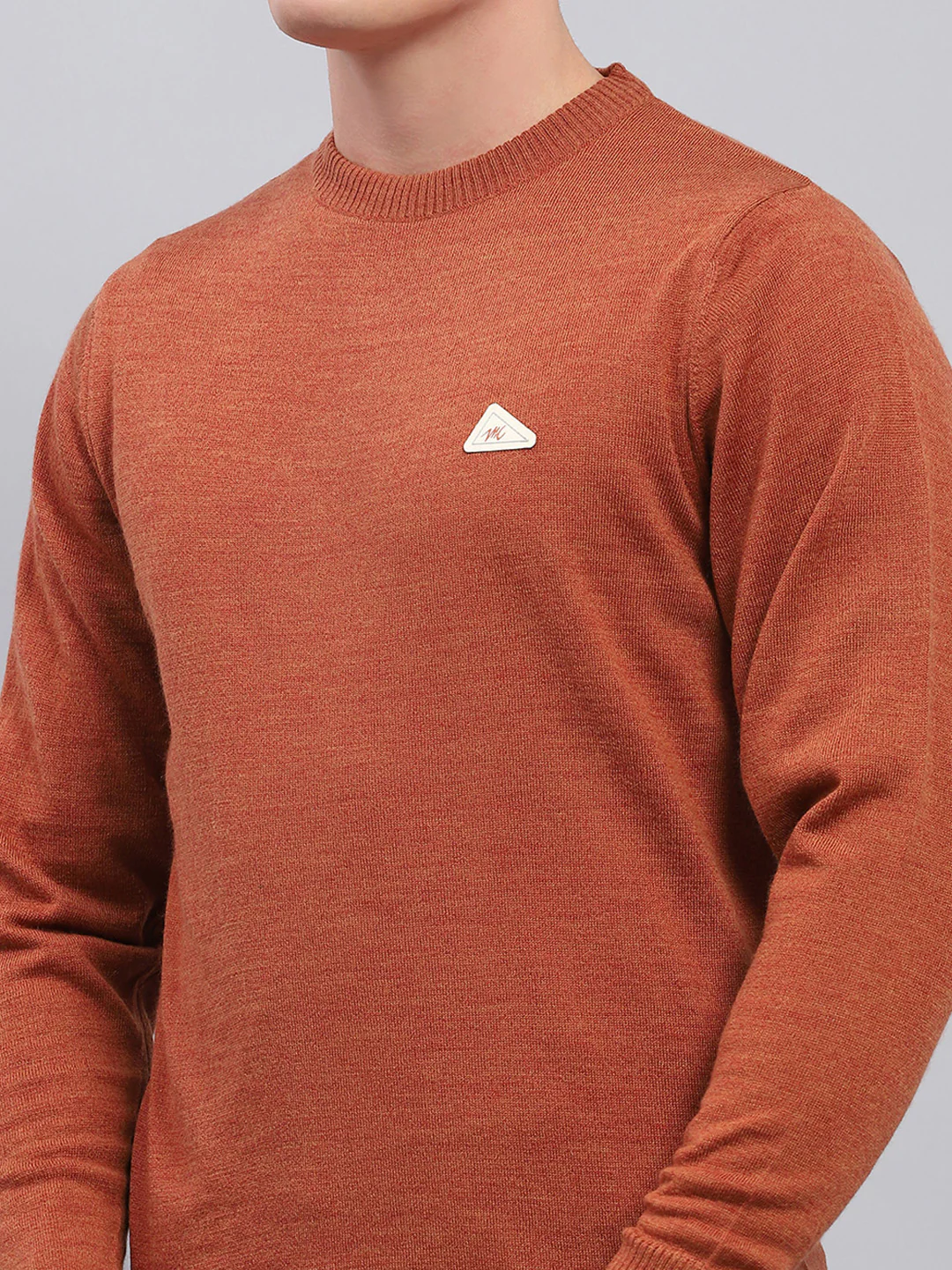 Men Rust Solid Round Neck Full Sleeve Pullover - Image 6