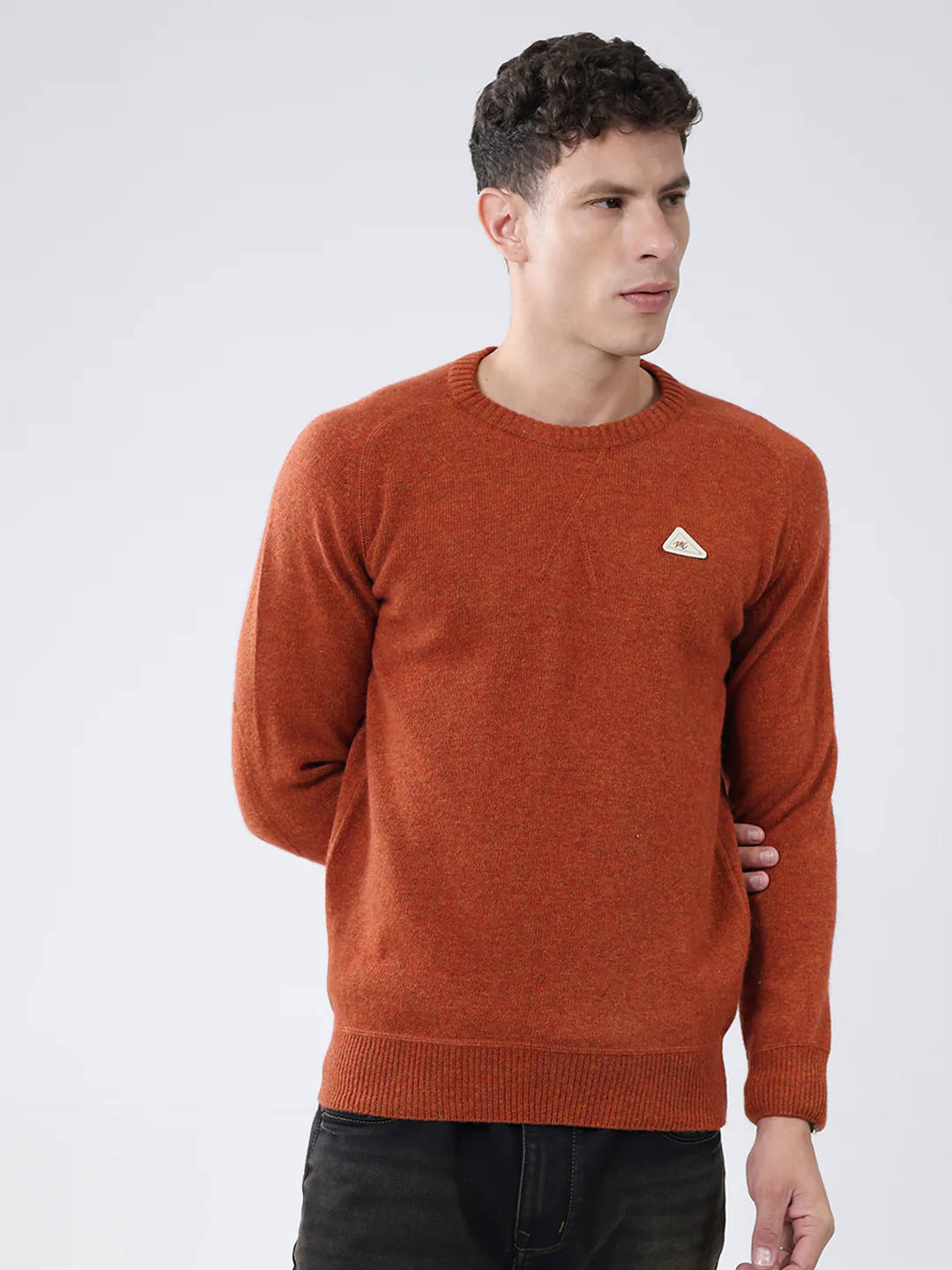 Men Rust Solid Round Neck Full Sleeve Pullover