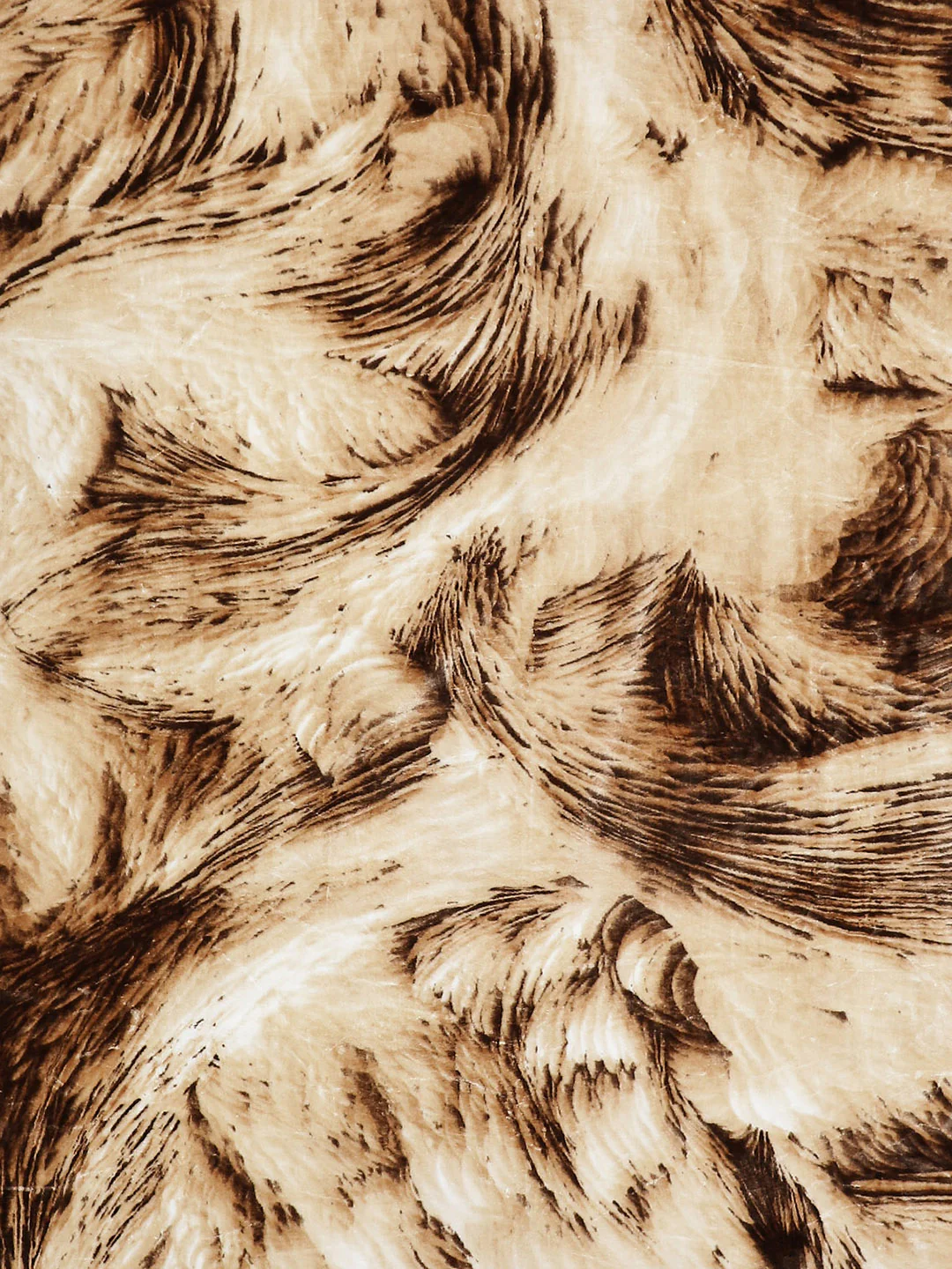 Printed Double Bed 1041 GSM Blanket Apricot 2 Ply (Weight 5.5 kg) - Image 6