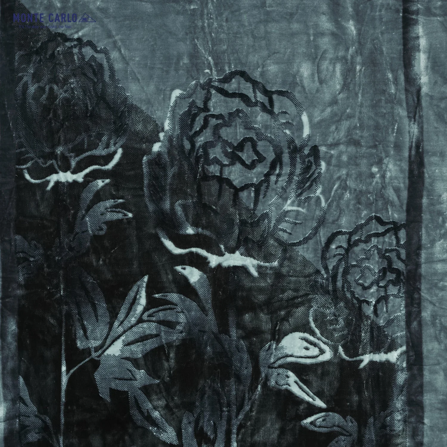 Printed Single Bed 1022 GSM Blanket Lucas 2 Ply (Weight 3.6 kg) - Image 6