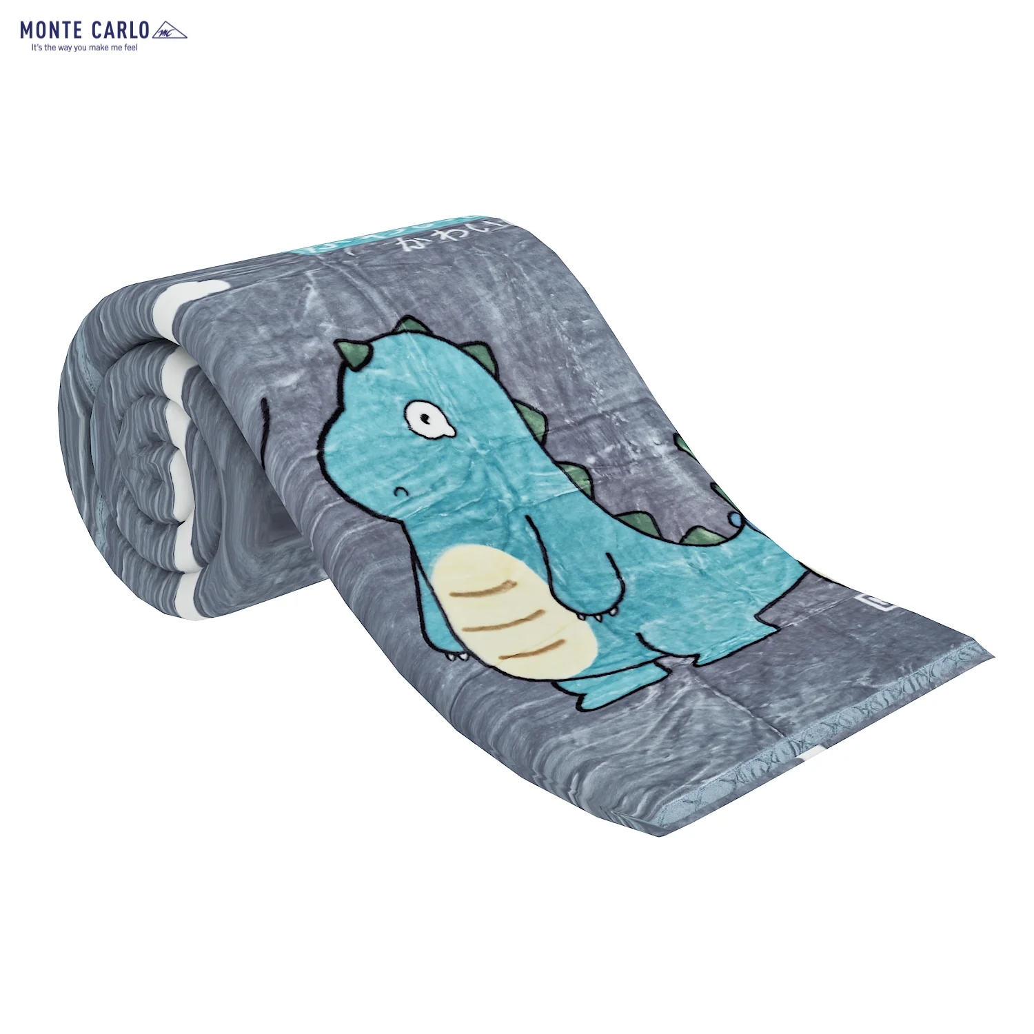 Printed Single Bed Blanket for Mild Winter -2 Ply - Image 4