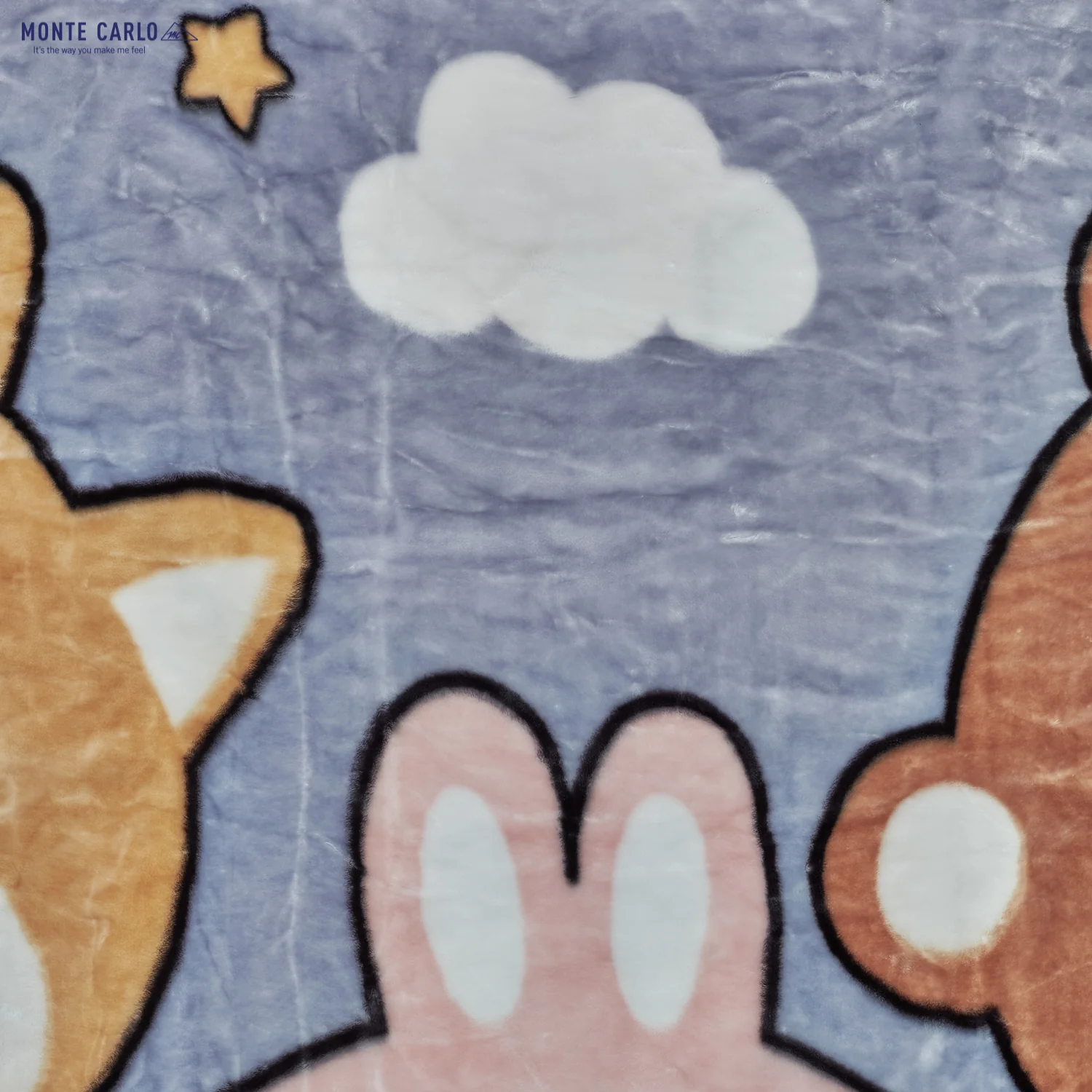 Printed Single Bed Blanket for Mild Winter -2 Ply - Image 6