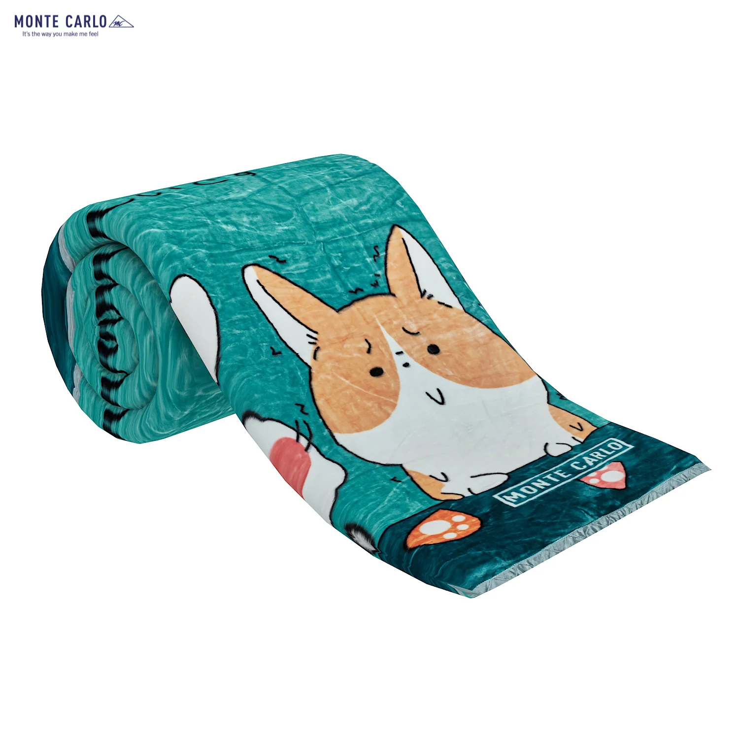 Printed Single Bed Blanket for Mild Winter -2 Ply - Image 4