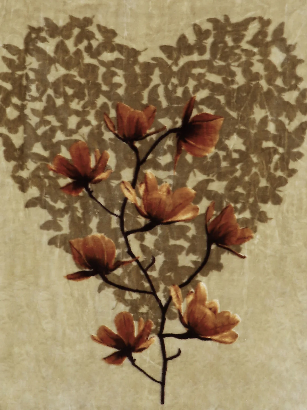 Printed Single Bed Blanket for Mild Winter -2 Ply - Image 6