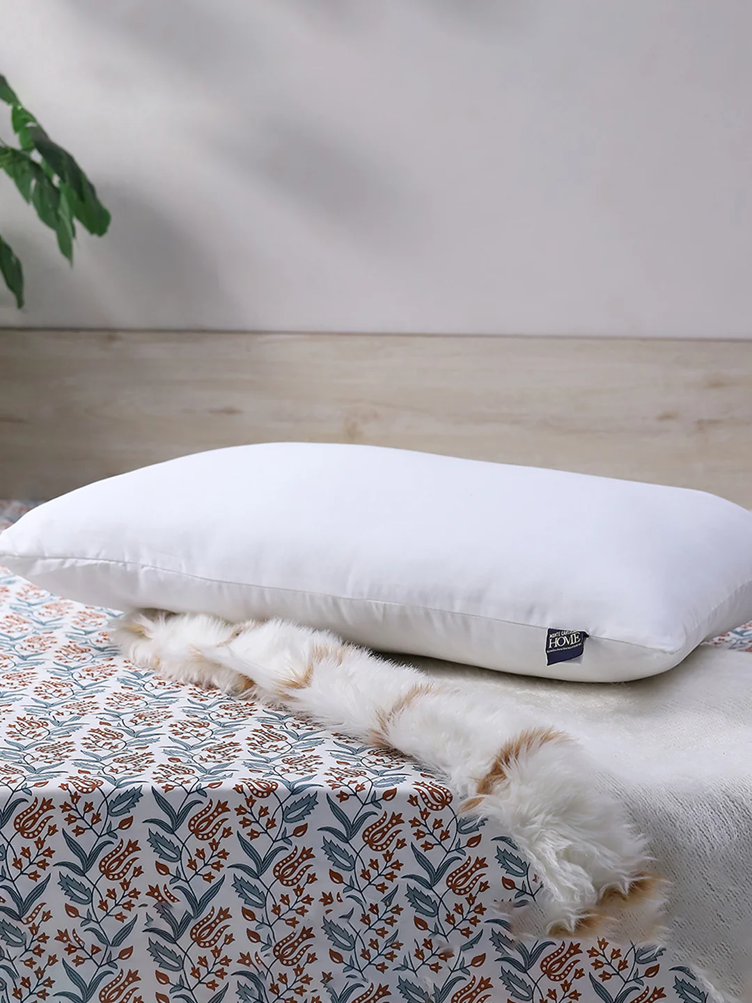 White Solid Polyflex Micro Peach Pillow - PVC Pack - Image 5