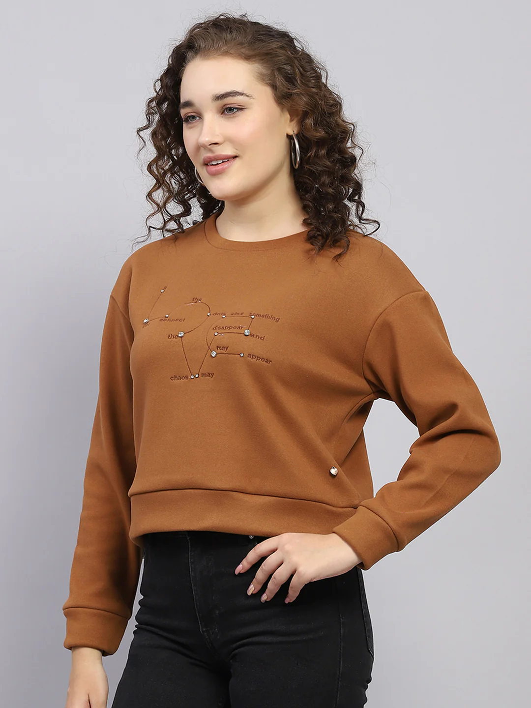 Women Brown Embroidered Round Neck Full Sleeve Sweatshirt - Image 3